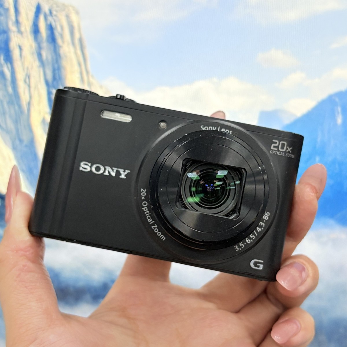 SONY Cyber-shot DSC-WX350 18.2 MP 20x Digital Zoom Digital Camera