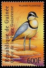 GUINEA REPUBLIC 1959 - Egyptian Plover "Pluvianus aegyptius" (pc33043)