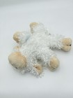 Picture 5 of 8
