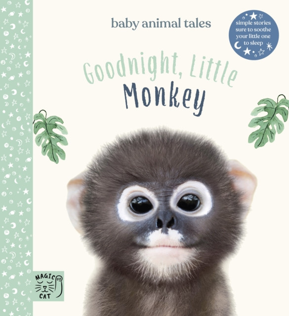 Goodnight, Little Monkey by Amanda Wood (Hardback Book)