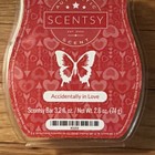 Scentsy Wax Bar Melt Accidentally In Love New Candle Melts Discontinued Retired — photo 3