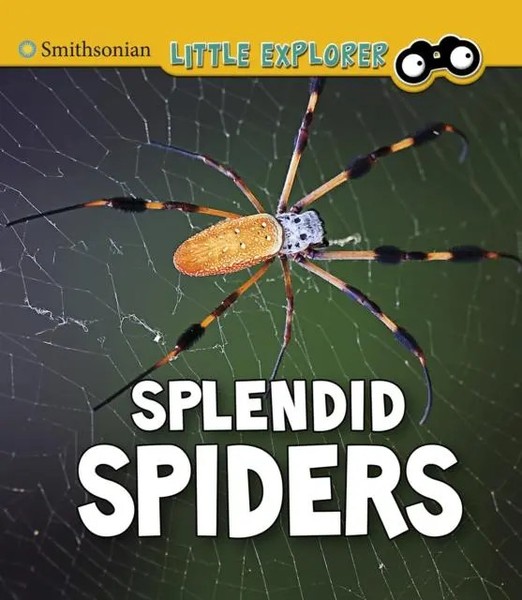 Splendid Spiders | Melissa Higgins | Englisch | Taschenbuch | Insect Explorer-image