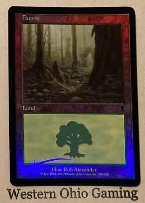 Magic The Gathering Odyssey Forest #348/350 Foil Land MTG TCG CCG