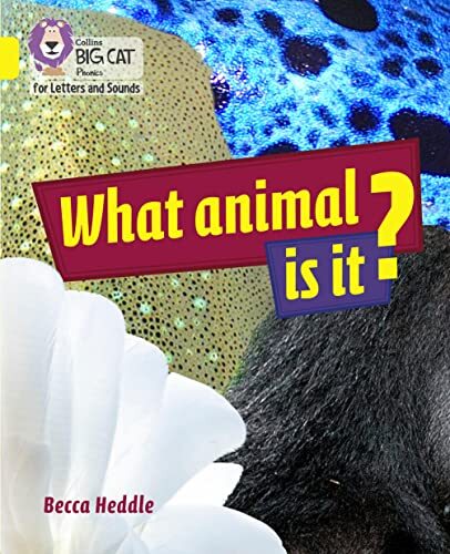 What Animal is It?: Band 03/Yellow (Collins Big Cat Phonics for Letters and Sounds) - Image 4