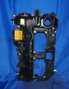 2012-2018 BMW 2.0L N20 Motor Zylinderkopf Ventil Abdeckung Montage OEM W/