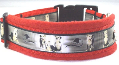 HANDGEFERTIGT, EIGENE HERSTELLUNG Hundehalsband Border Collie, M 40-45 cm , gepolstert, handgefertigt