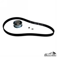 530017110 Zahnriemensatz FüR Audi Skoda VW Seat A3 Cabrio Sportback A4 B7 94-17