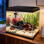 10 Gallon Glass Fish Tank, Aquarium Starter Kit, Simple Self-Cleaning Aquarium w