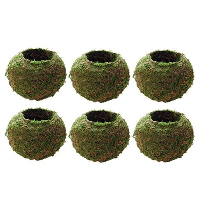 6xCreative Moss Ball Blumentopf Pflanzer Bonsai Pflanzenhalter Hausgarten 9cm