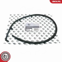 Esen SKV Schlauch Leckkraftstoff 54SKV273 FüR Mercedes CLA C117 Klasse W176 W246