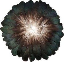 FeelfunFeather 120pcs Natural Goose Feathers 6-8 Inch 15-20cm Decorative Feather