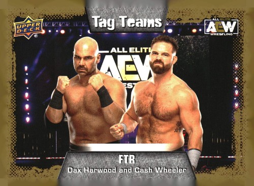 2022 Upper Deck AEW All Elite base, pyros and parallels pick from list - Picture 352 of 505
