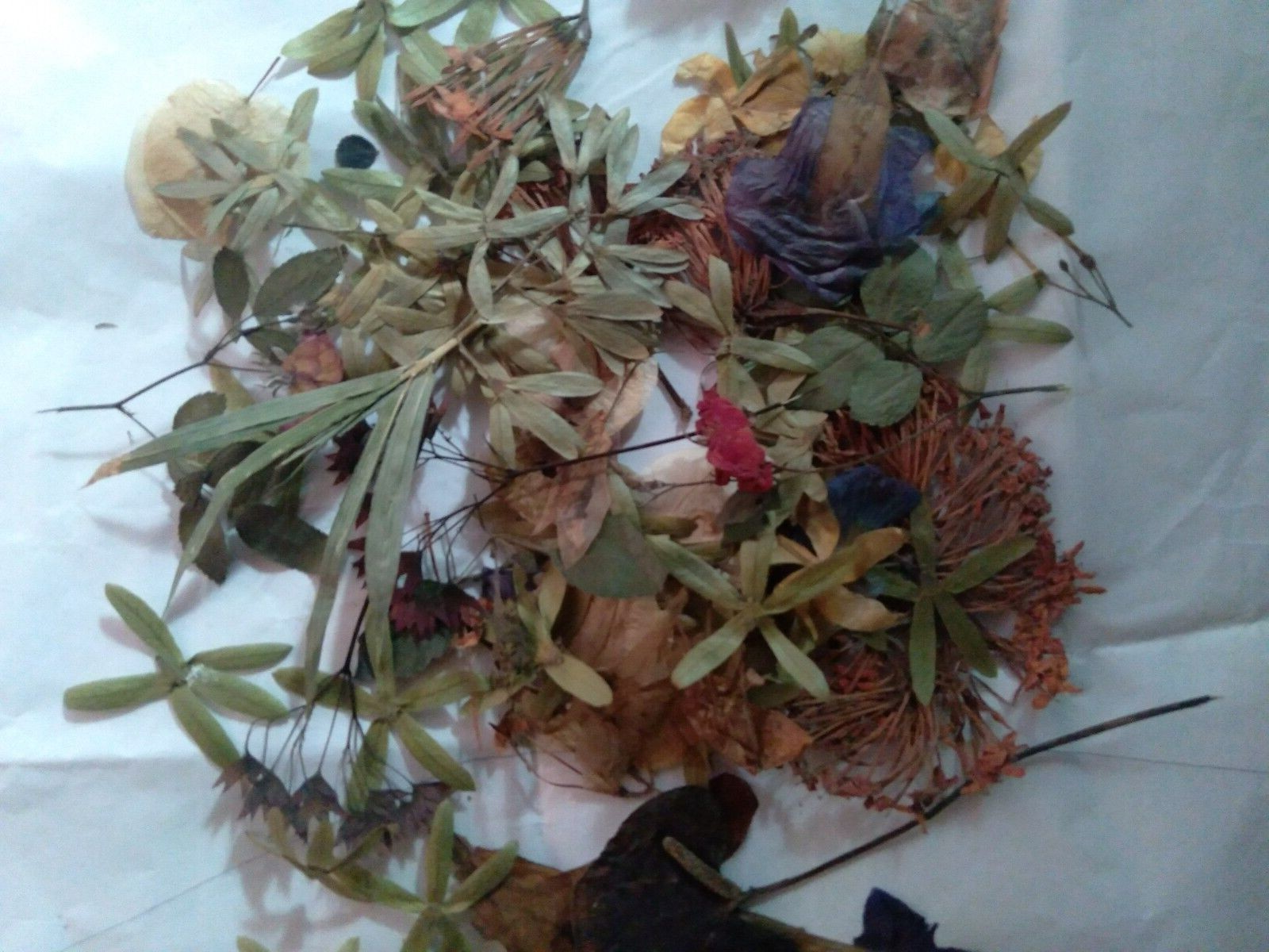 Dried flowers and leaves for DIY resin jewelry scrapbooks and journals-image
