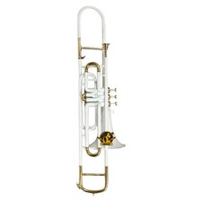 Bb Valve Trombone Brass Instrument  Brass Instrument with Mouthpiece  Hardcase