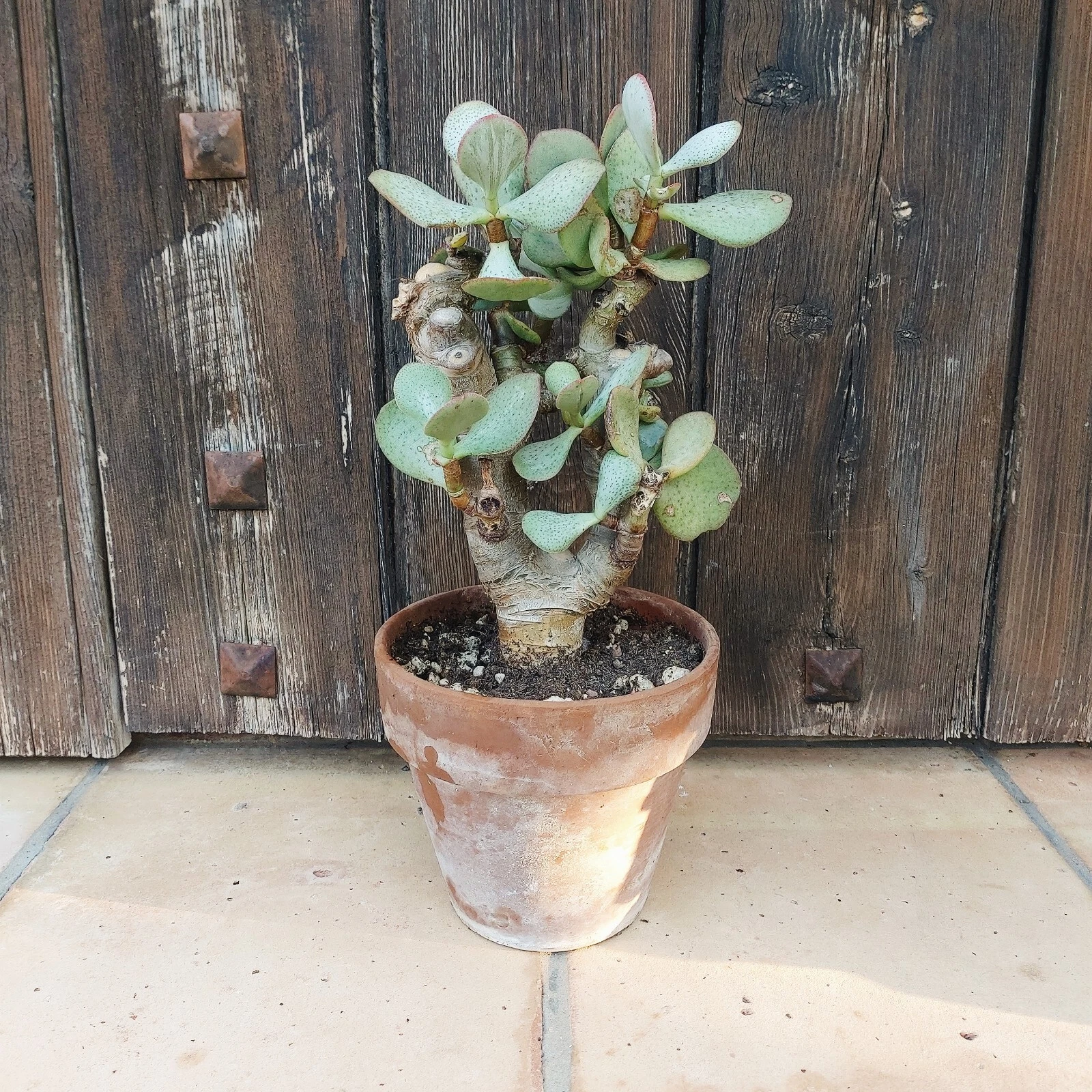 Foto 1 di 3