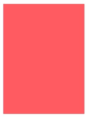 25 Blatt farbiges Briefpapier Lysco Color Paper DIN A4 Papier Lively Ziegelrot