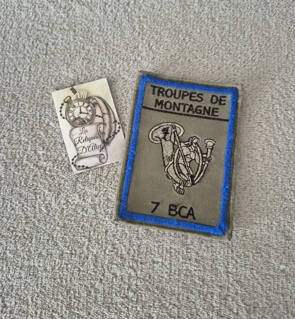 Insigne Chasseurs Alpins - Brevet Préparation Militaire SKI - Edelweiss BCA (Occasion)