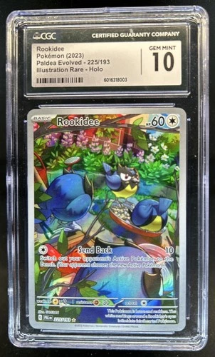 2023 Pokemon SV Paldea Evolved Rookidee Illustration Rare #225/193 CGC 10