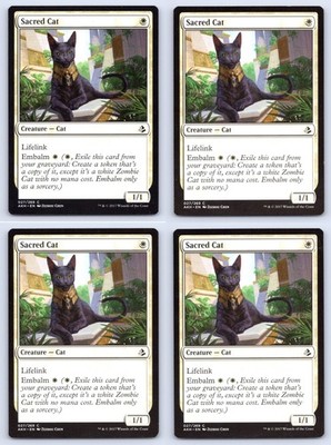 Sacred Cat x4 Playset Common Amonkhet Magic: The Gathering Near Mint