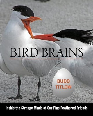 Bird Brains: Inside the Strang - VERY GOOD