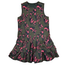 Banana Republic Womens Olive Pink Abstract Floral Ruffle Drop Waist Dress Size 4