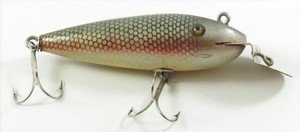 Creek chub Beetle for sale | eBay