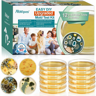 Mold Test Kit, 12 Individual Tests for Home House Mold Detector DIY Air
