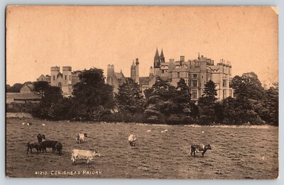Postcard Conishead Priory - Cows w Castle