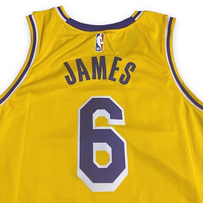 Nike Los Angeles Lakers LeBron James No. 6 Dri-Fit Jersey Sz 2XL | eBay