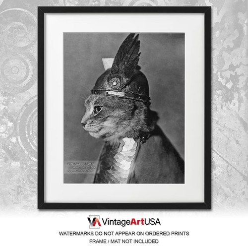 Impresión fotográfica vintage de Brunilda la gata, 1936, con casco alado y armadura de coraza. Decoración de pared divertida y humorística para coleccionistas. - España