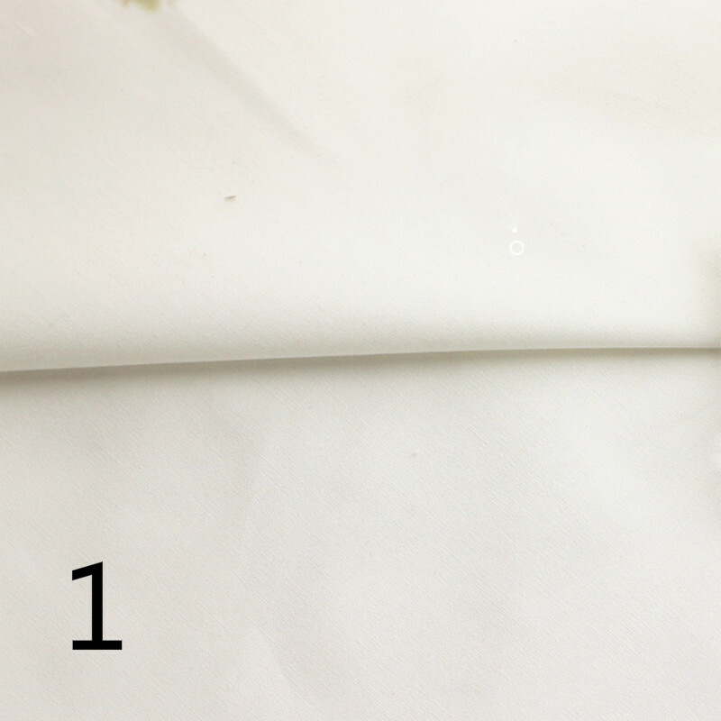 Picture 1