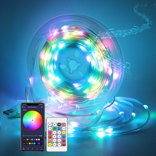RGBIC WS2812B Pixel Fairy Led String Light Bluetooth APP USB Twinkle ...
