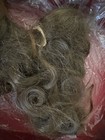 Antique Photo - Young Girl with Her Memento Human Hair — photo 7