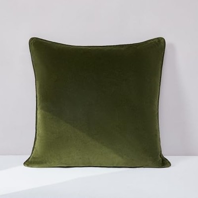  x Chuks Collins Terran Velvet Decorative Pillow 22'' x 22'' (Pack of 1) Green