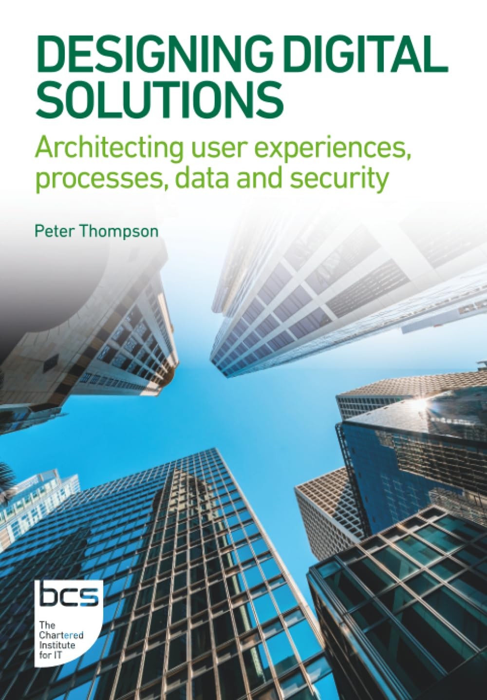 Designing Digital Solutions: Architecting user experiences, processes PAPERBACK