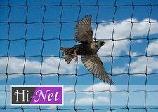 Garden Netting 5m x 10m 28mm Mesh Anti Bird Knotted Heavy Duty Net Plant Protect