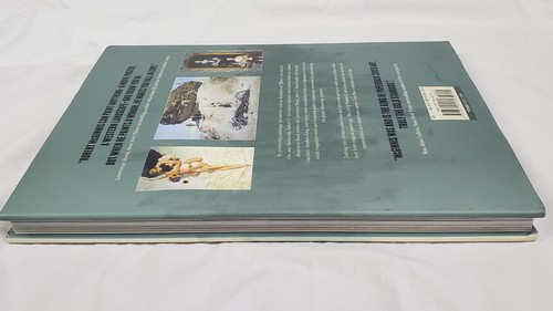 Art of Robert E. Mcginnis by Art Scott and Robert E. McGinnis (2014, Hardcover) - Picture 10 of 22