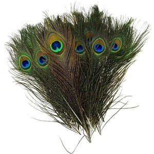 10pcs Natural Peacock Feathers 25 30cm Costume Stage Makeup Tool
