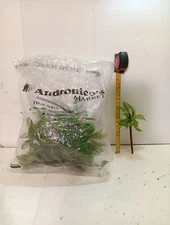 12PCS Mini Scenery Model Palm Trees/pine Trees / Scale Scenery Model