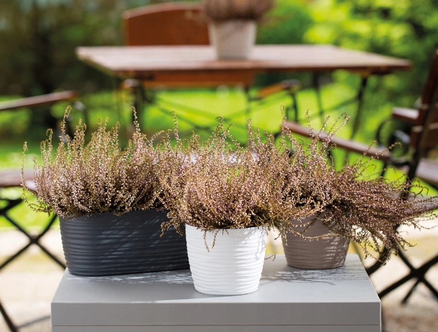 Blumentopf Übertopf Pflanztopf ohne/mit Untersetzer 6 Farben 7 Größen 3D Wellen - Bild 3 von 4