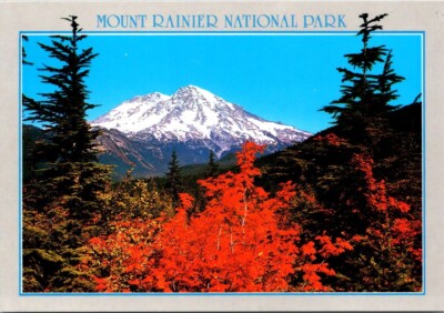 Mount Rainier National Park Washington Fall Colors Snow Capped c2000 Postcard