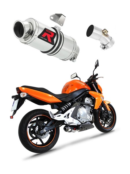 Er - 6 N / F 650 2009 - 2011 Auspuff SchalldäMpfer GP1 Dominator-image