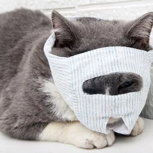 Pet Cat Muzzle Anti-Bite Protective Cover Eye Mask Mouth Cover Breathable Hood - Picture 7 of 14