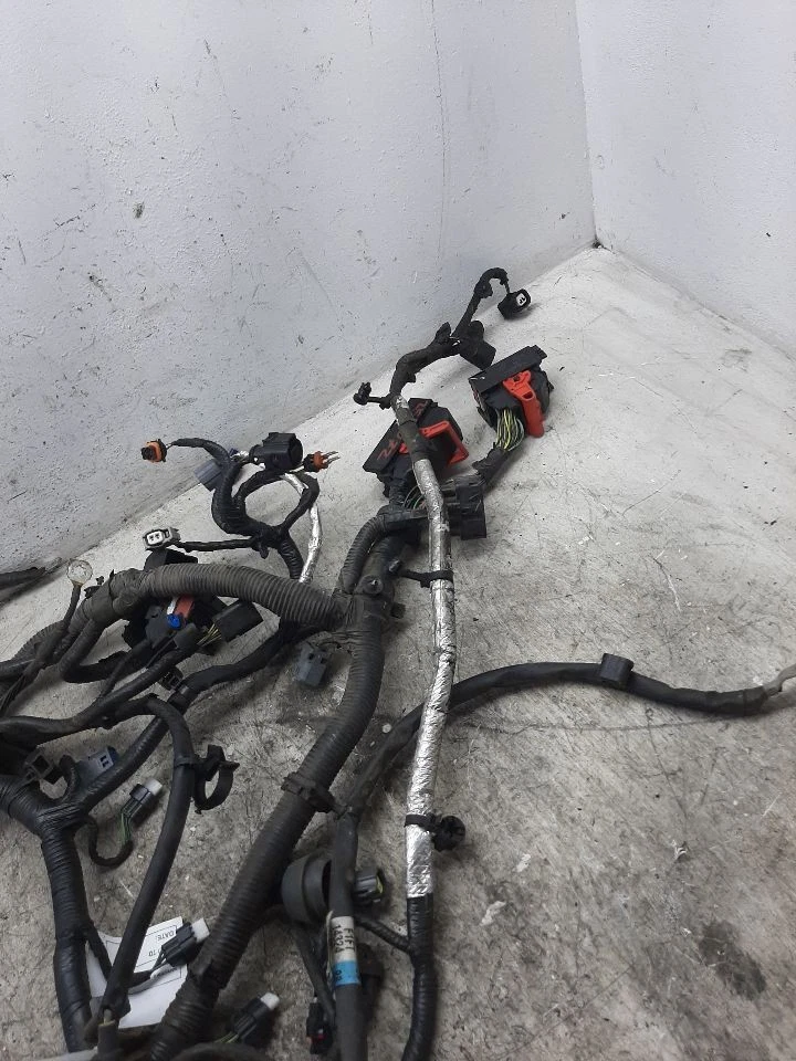 Arnés de cables del motor Ford Focus 2016 2,0 L PZEV sin identificación de niebla G1EZ14290Y Foto 4 de 4