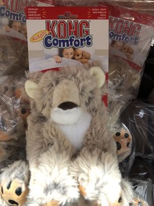 kong kiddos