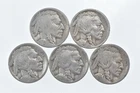 BETTER Lot 1927-D 1928-S 1928-S 1929-S 1928-S Buffalo Nickel Collection *166