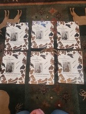 6 Of National Wild Turkey Federation Magazines