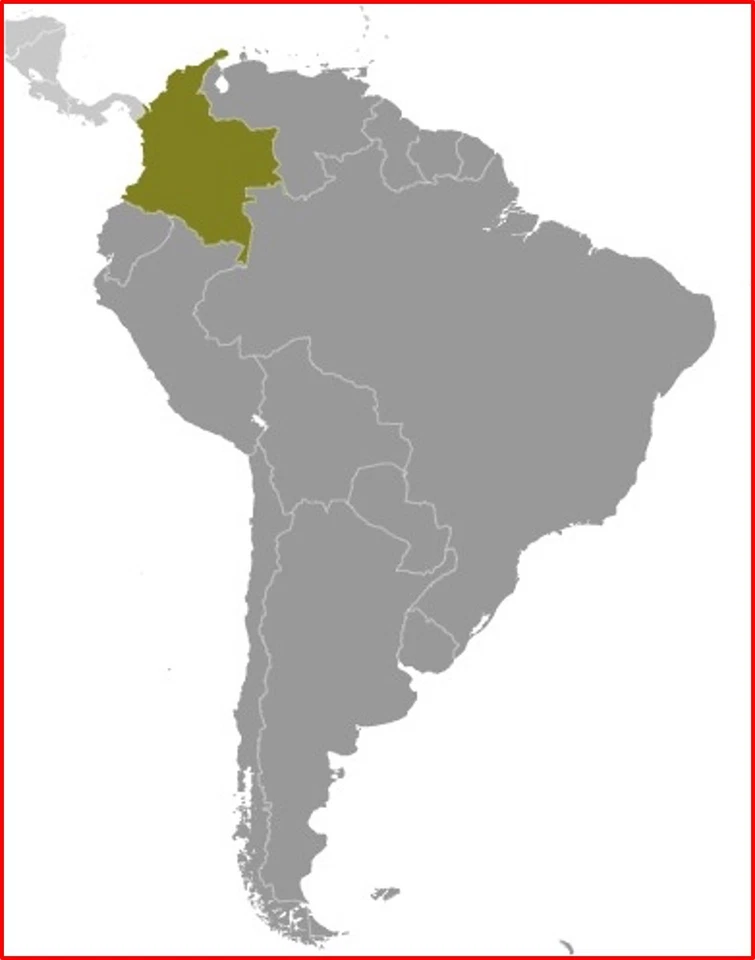 $13.00 Scott Value  - 1976 COLOMBIA Cities, Skylines Bogota etc CV MNH NH UMM - Image 4 of 4