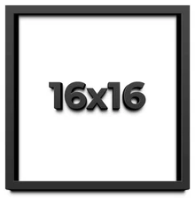 16x16 Shadowbox Gallery Wood Frames - Black DEEP Shadow Box Frame with a Display