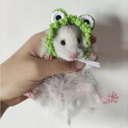 Party Clothes Accessories Mini Hamster Hats Knitted Guinea Pig Hats - Picture 24 of 24